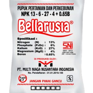 NPK BELLARUSIA 13.6.27